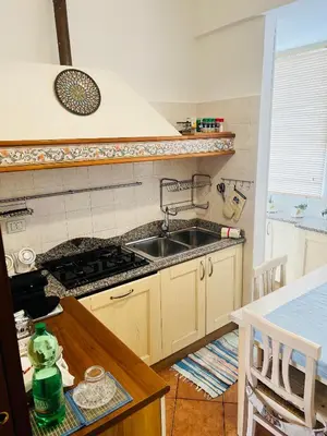 a kitchen with a sink and a stove at I Gerani in Rome