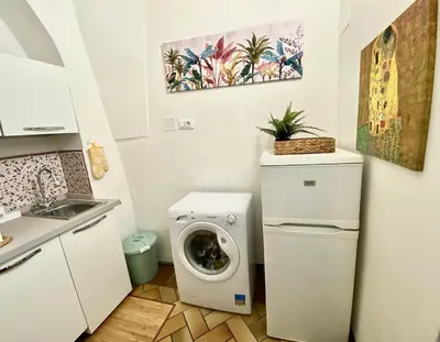 a kitchen with a washing machine and a sink at Trastevere Loft Leopardo in Rome