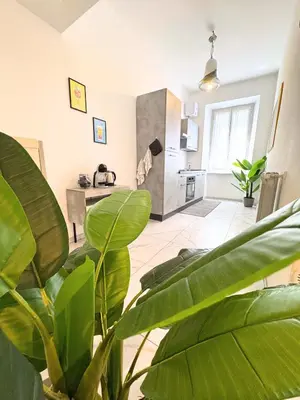 a living room with a large green plant at Trastevere Home in Rome