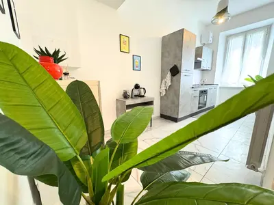 a large green plant in a room with a kitchen at Trastevere Home in Rome