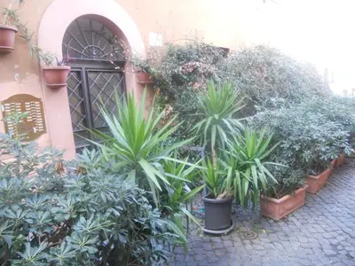a bunch of potted plants in front of a building at Vaticano in Love in Rome