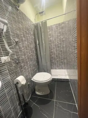 a small bathroom with a toilet and a shower at Rome jubilee stays 2 in Rome