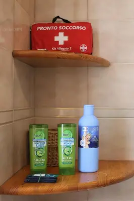 a shelf with two bottles of soap and a red bag at Artist's House Colosseum in Rome