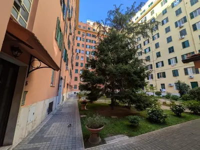a tree in a courtyard between two buildings at Artist's House Colosseum in Rome