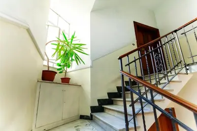 a staircase with a potted plant and a window at Volpetti Experience-Suite in Vatican City in Rome