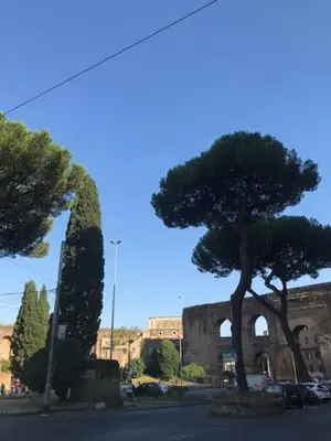 a street with a tree and a building at Centralissima Collegatissima in Rome