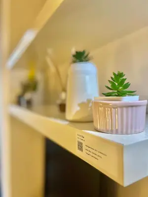 a shelf with a plant in a pot on it at San Pietro Charme in Rome