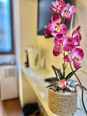 a vase filled with pink flowers on a counter at San Pietro Charme in Rome