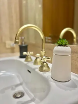 a bathroom sink with a soap dispenser with a plant on it at San Pietro Charme in Rome