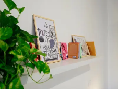 a shelf with books and a potted plant on it at Enjoy Rome San Paolo Retreat in Rome