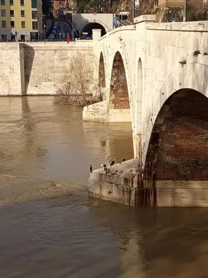 a stone bridge over a river with birds on it at Maison Manú - Vaticano in Rome