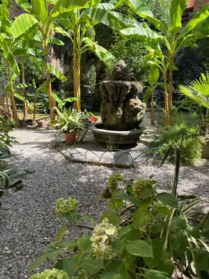 a statue in the middle of a garden with plants at Casa Francesco in Rome