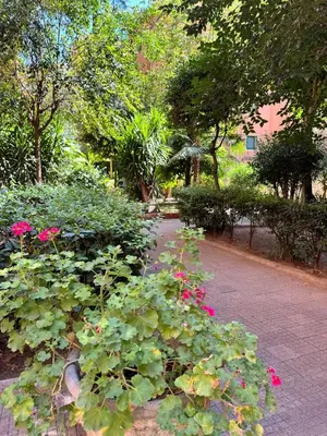 a garden with pink flowers and green plants at Casa Francesco in Rome