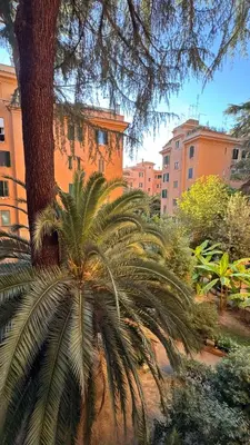 a palm tree in front of a building at Casa Francesco in Rome