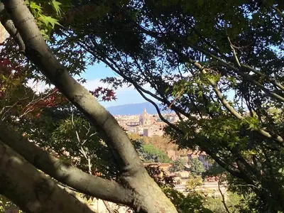 a view of a city from behind some trees at Casa di Ross in Rome