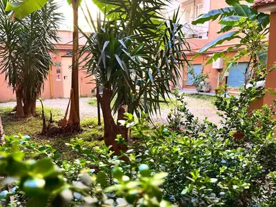 a garden with trees and bushes in front of a building at Casa di Ross in Rome