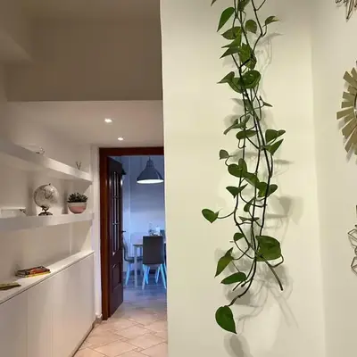 Casa di Ross