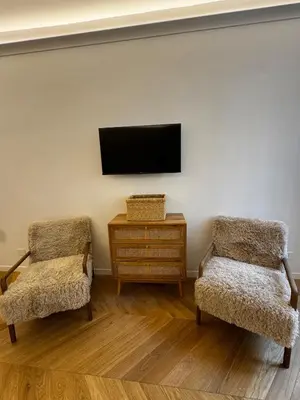 two chairs in a living room with a flat screen tv at The Roman Retreat - 2BDR Colosseum Monti district in Rome