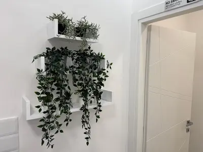 a shelf with plants on a wall next to a door at Nest Love collazia Roma 1500 mt dal Colosseo in Rome