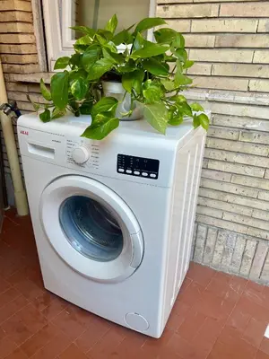 a washing machine with potted plants on top of it at I Love San Pietro in Rome