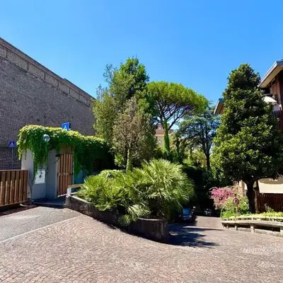 Vatican Walls Studio