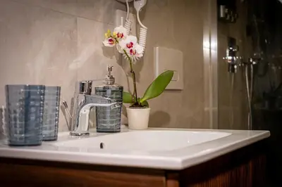 a bathroom sink with a faucet and flowers on it at The Suitest Roma Apartment Appio Latino in Rome