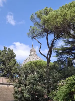 a view of the capitol building from the trees at Jasmine Stay Guesthouse in Rome