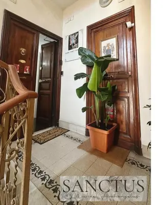 a plant in a pot sitting in front of a door at Sanctus Michael Archangelus in Rome