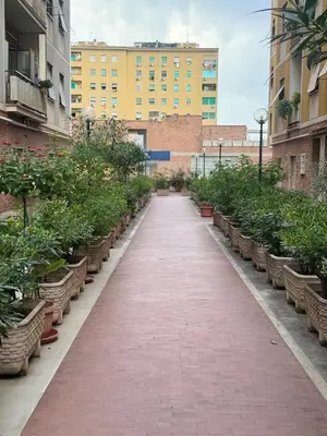a red brick pathway with potted plants at Marconi Suite & Charme in Rome