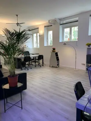 an empty room with chairs and a potted plant at Orchidea Bianca Home in Rome