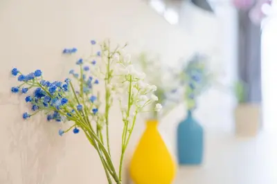 a group of three vases with flowers in them at imperium suite trevi in Rome