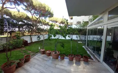a group of potted plants sitting on a patio at Bilocale EUR Grotta Perfetta 50mq casa 32mq sala hobbies e 250mq giardino in Rome