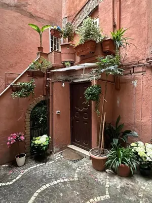 a door with potted plants on the side of a building at incanto e campo de fiori in Rome