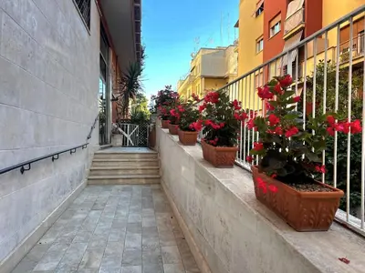 a walkway with potted plants on the side of a building at Domus Veneranda in Rome