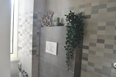 a bathroom with a plant on a tile wall at Annmarie House, Vaticano - Cipro in Rome