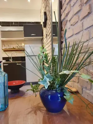 a blue vase sitting on a wooden table with a plant at Hortus in Rome