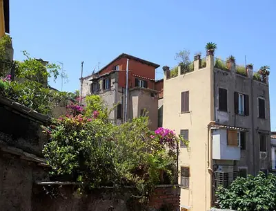 a building with plants on the top of it at House of Marzia #6000rome in Rome