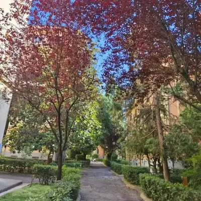 Suite Tevere star
