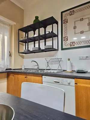 a kitchen with a counter with a sink and a shelf at La Canfora in Rome