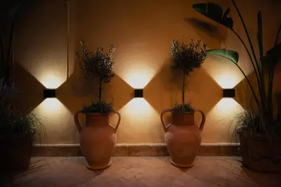 three vases with plants in them on a wall with lights at Boutique Apartment Steps from Colosseum in Rome