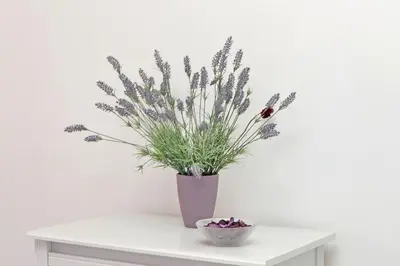 a purple vase filled with lavender on a table at Victoria Apartment in Rome