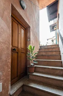 a plant in a pot sitting next to a door at Apartment AppiaAntica in Rome