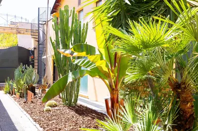 a garden with palm trees and plants in front of a building at Loft Ostiense Blue in Rome