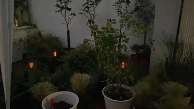 a bunch of plants in a room with lights at Ulivo Guest House Roma in Rome