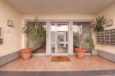three potted plants in front of a door at Free Parking Chic Home - Balcony, AC, Wi-Fi in Rome