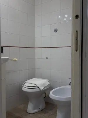 a white bathroom with a toilet and a sink at Family Apartment for five persons in Rome
