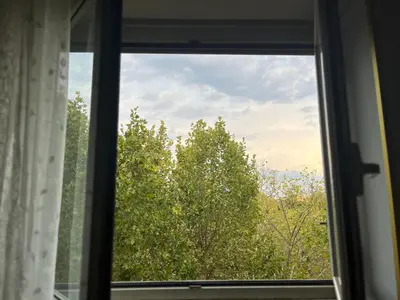 a window with a view of a tree at SR Guesthouse in Rome