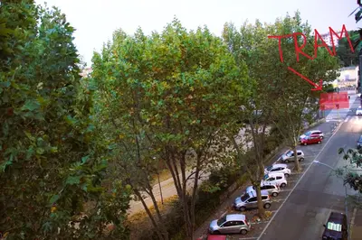 a group of cars parked in a parking lot next to trees at SR Guesthouse in Rome