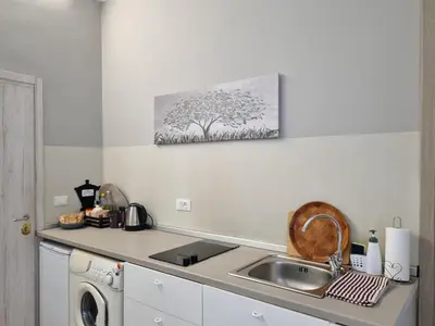 a kitchen with a sink and a washing machine at Monolocale luminoso vicino Trastevere in Rome