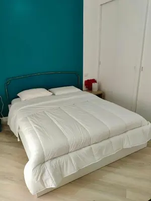a large white bed in a bedroom with a blue wall at Vatican Museum Home in Rome
